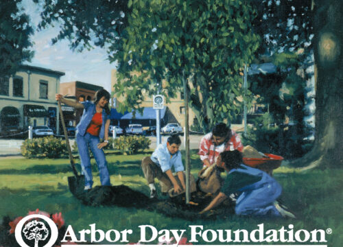 Arbor Day 2021 Proclamation